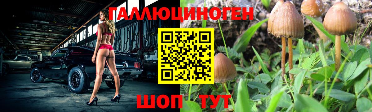 Галлюциногенные грибы Cubensis Усинск
