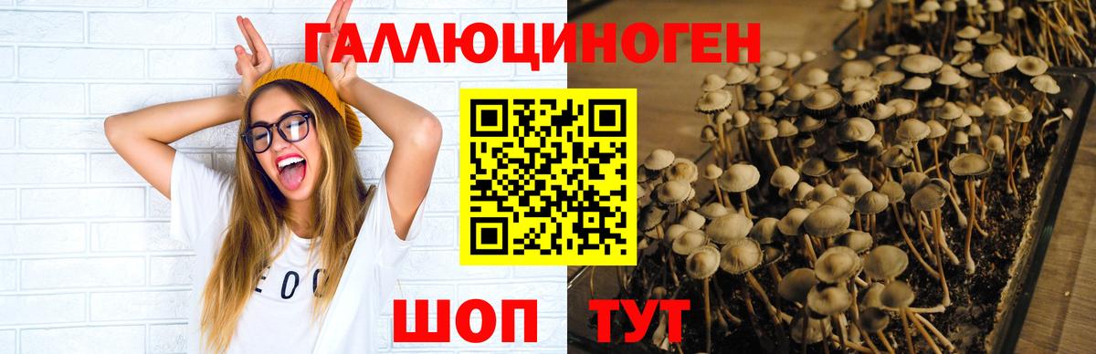 Псилоцибиновые грибы ЛСД  где можно купить   Усинск  Вход с VPN 